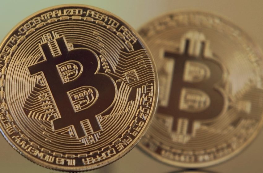 Jaká bude budoucnost Bitcoinu & Halving 2020 – 2024