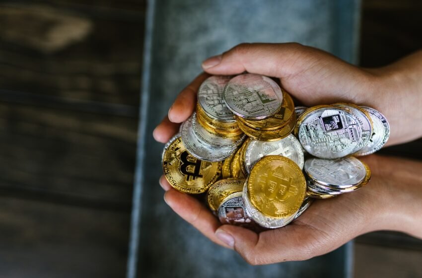 Hodluj, ale chytře s Hodlbotem!