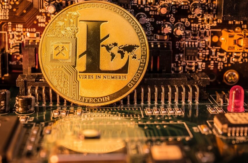 Litecoin (LTC) dosáhl historického milníku: překonal pět milionů dlouhodobých držitelů