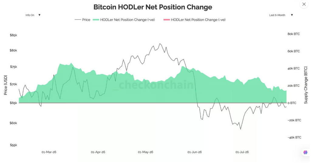Vývoj čisté změny pozic dlouhodobých držitelů Bitcoinu za posledních šest měsíců. Akumulace zůstává kladná, její tempo však od konce května výrazně zpomalilo z přibližně 40 000 BTC na 14 000 BTC.