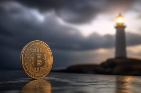 Bitcoin podle CryptoQuantu ukončil medvědí fázi