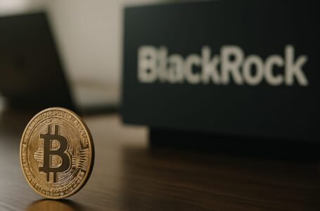 Bitcoinová ETF se vrátila k přílivům. BlackRock zajistil téměř celý obrat